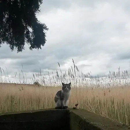 Kukin Pakostane